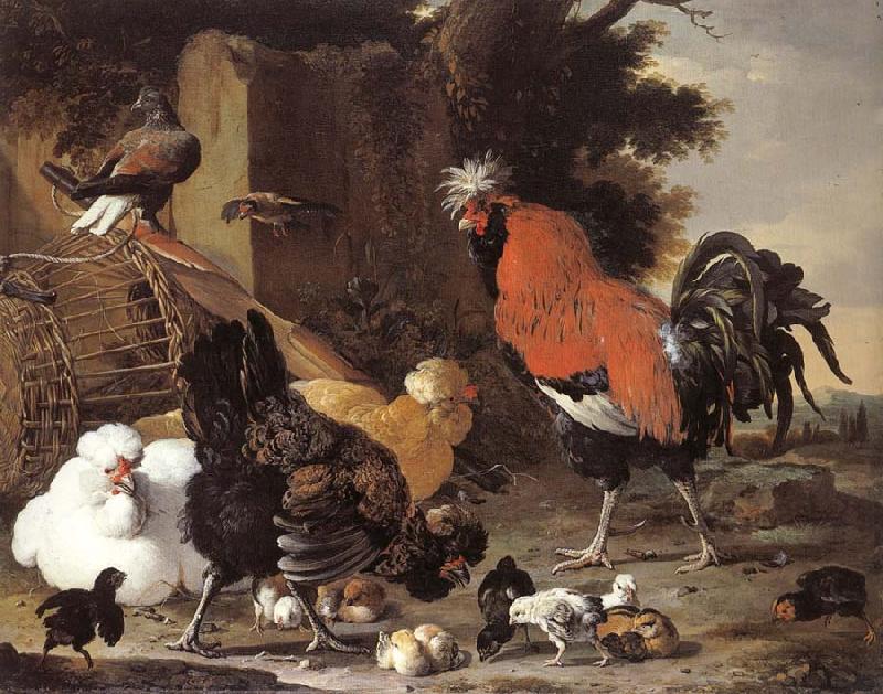 Melchior de Hondecoeter A Cock, Hens and Chicks oil painting image